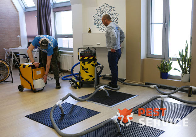 Профессиональная сушка после потопа в Елабуге от 3000 руб. Быстро устраняем влагу, предотвращаем плесень и повреждения. Современное оборудование и опытные специалисты. Безопасно и эффективно.